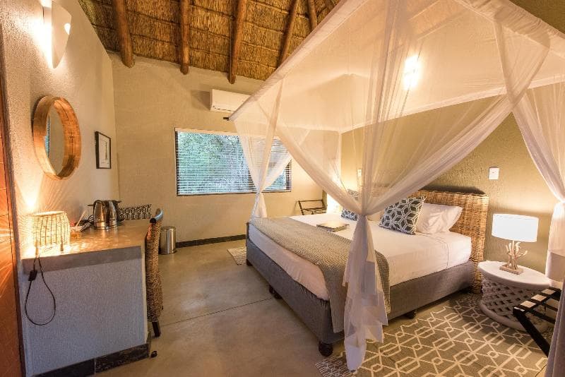 Bushbaby River Lodge 3
