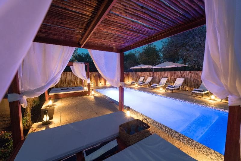 Bushbaby River Lodge 5