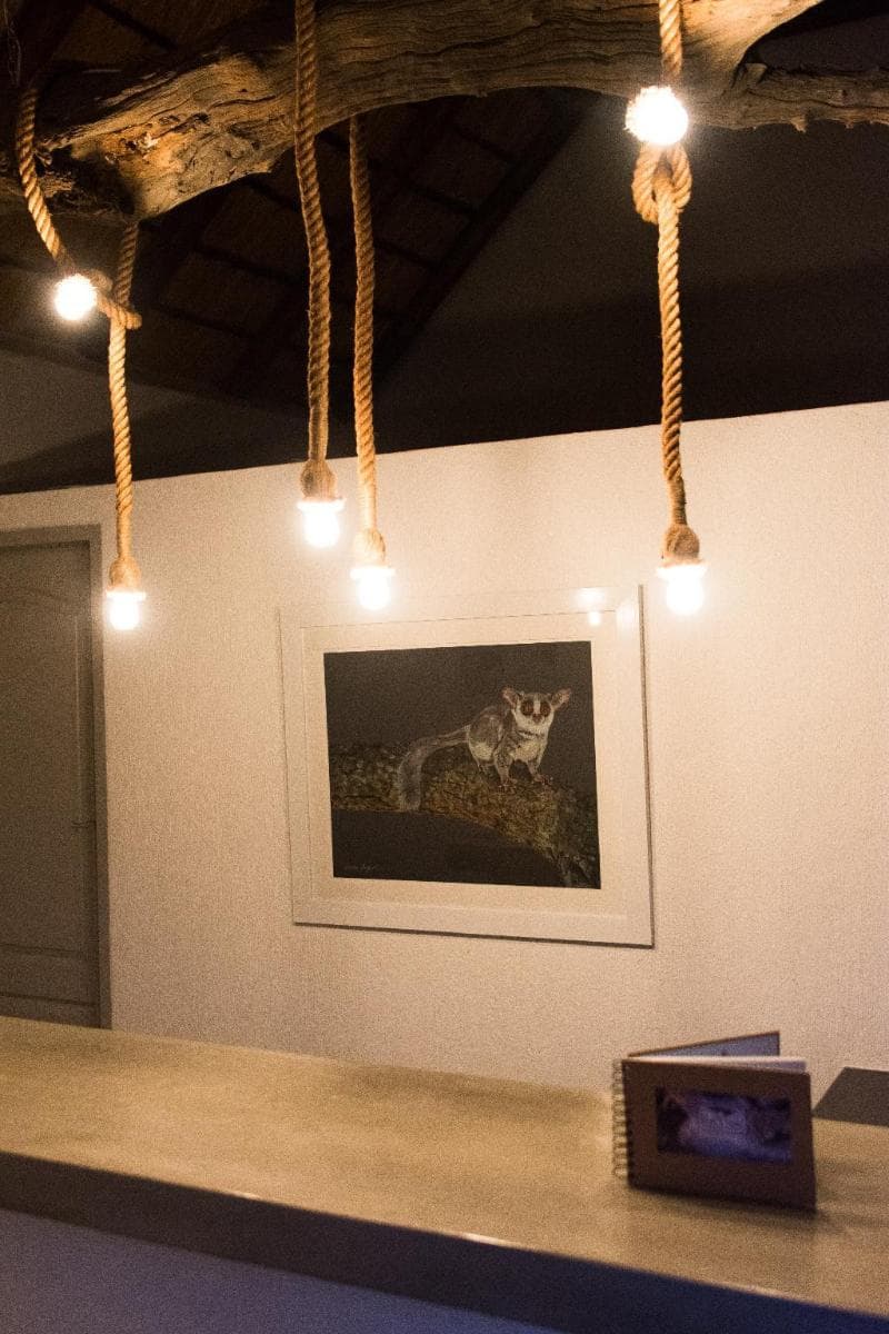 Bushbaby River Lodge photo 1