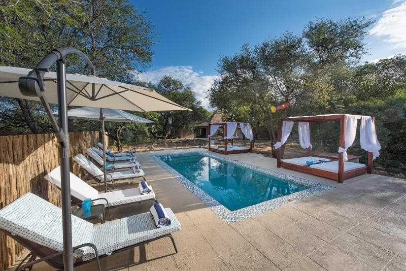 Bushbaby River Lodge 2
