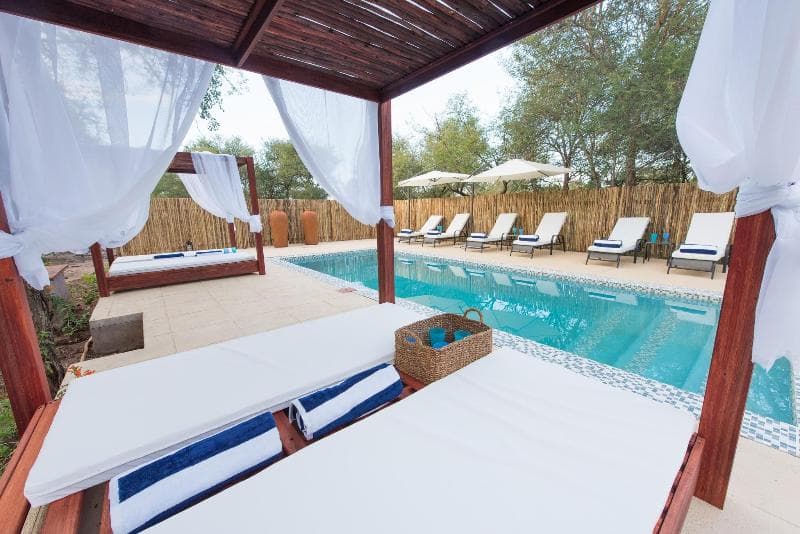 Bushbaby River Lodge 4