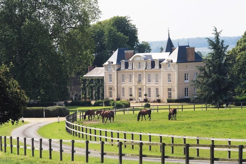 Haras De La Potardiere photo 1