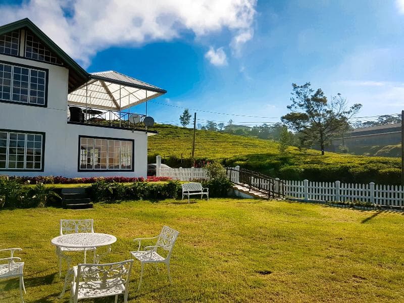 The Tea Garden 4