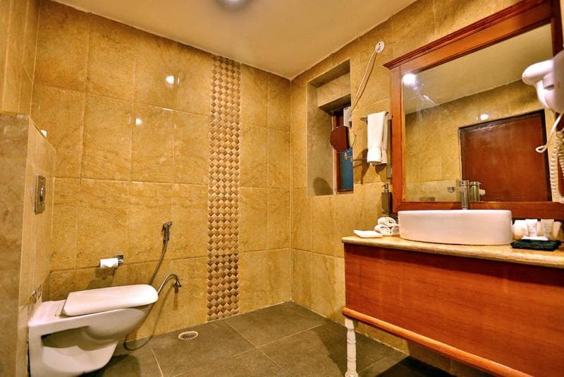 Regenta Resort Vanya Mahal 5
