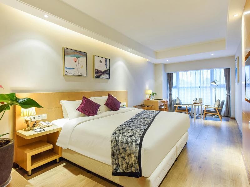 Novo Hotel 4