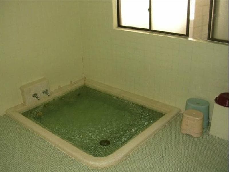 Ishiba Ryokan photo 1