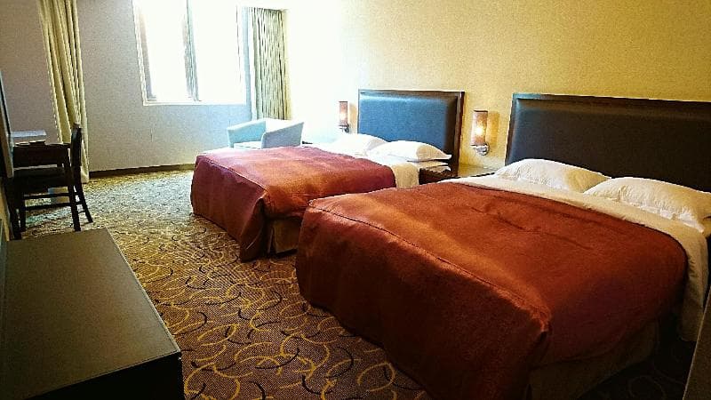 Metropolis Hotel main