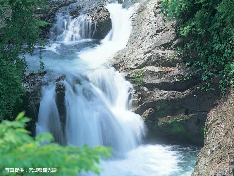 Green Palace 5