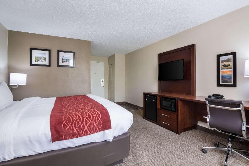 Comfort Inn 5
