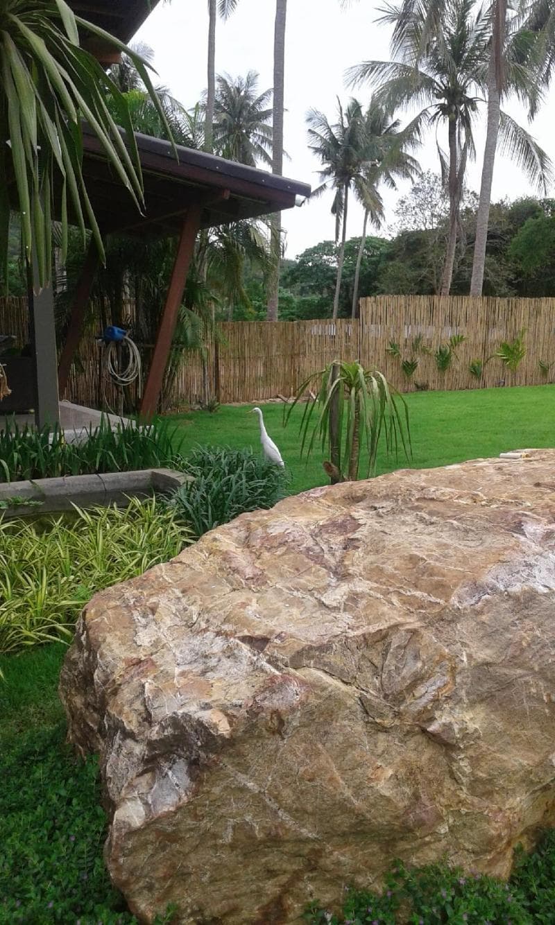 Lanta Infinity Resort photo 1