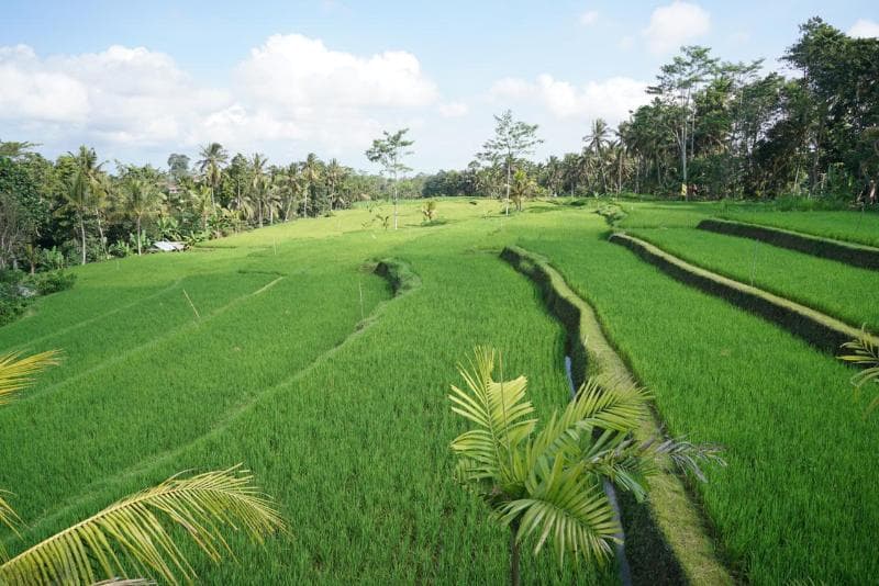 Kenran Resort 4