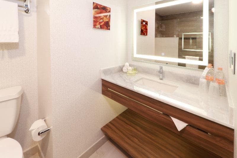 Holiday Inn & Suites Monterrey Apodaca Zona Airport 3