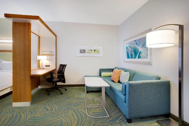 Springhill Suites Murray 4