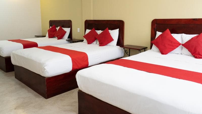 Hotel Esperanza 5