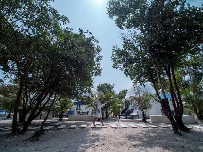 Moonlight Resort 3