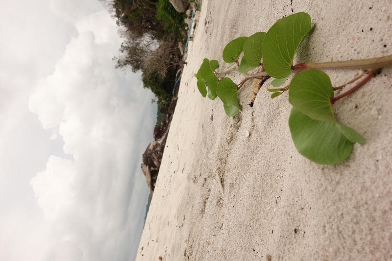 Samleom Laguna Resort main