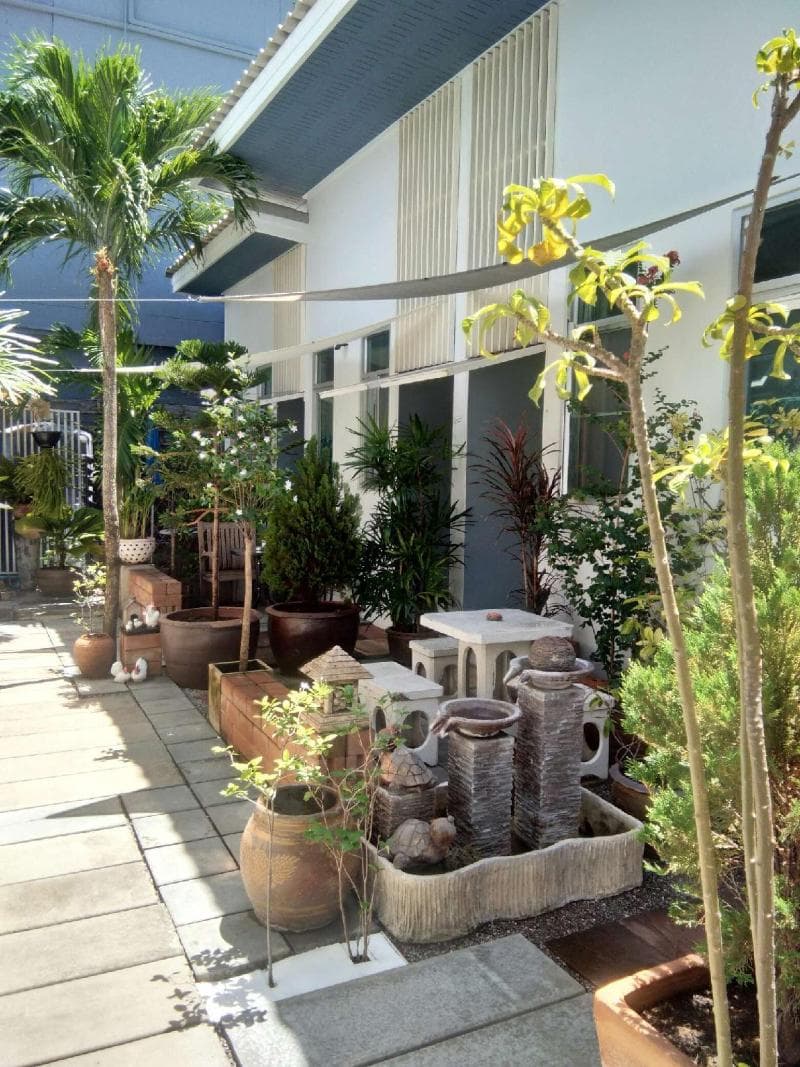 Dadddy's Home Huahin main