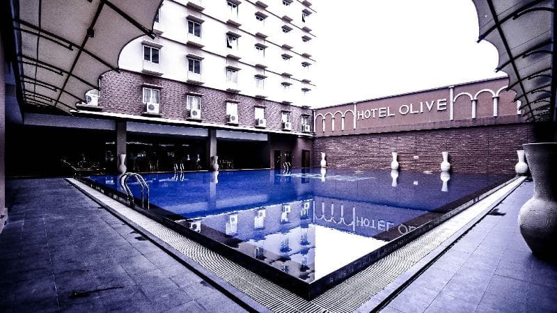 Hotel Olive photo 1