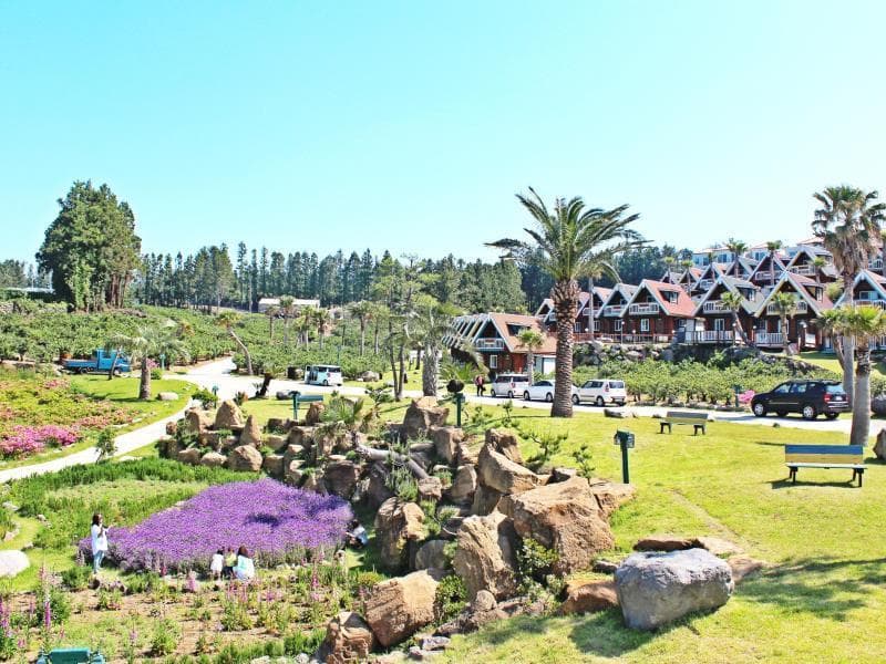 Jungmun Log Pension And Resort photo 1