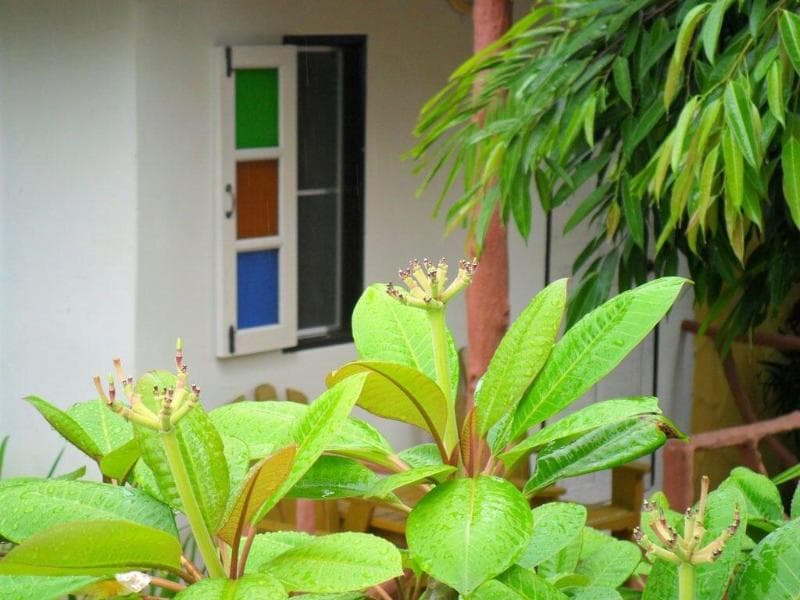 Khaolak Banana Bungalow 3