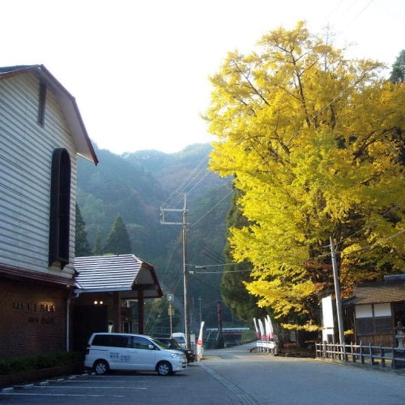 Hotel Nosegawa 5