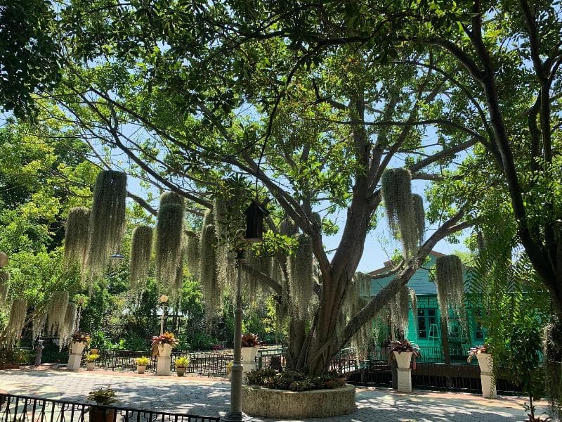 Muaan Resort 5