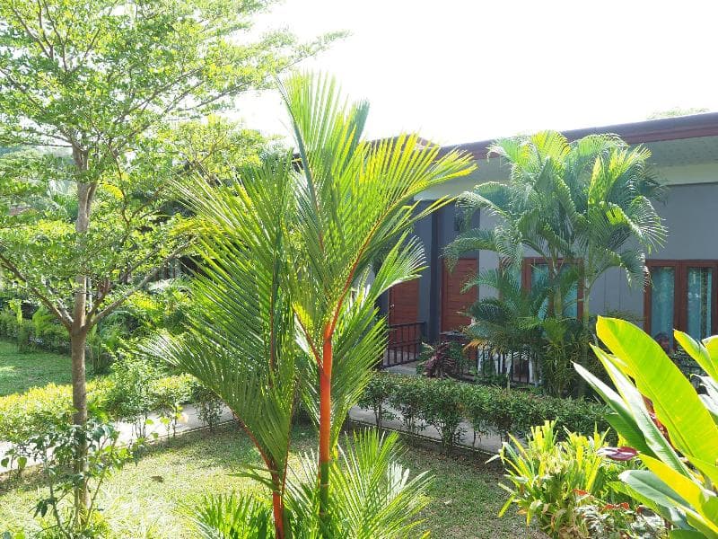 Andawa Lanta Resort 5