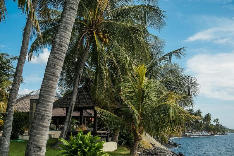 Relax Bali Dive & Spa Resort 5