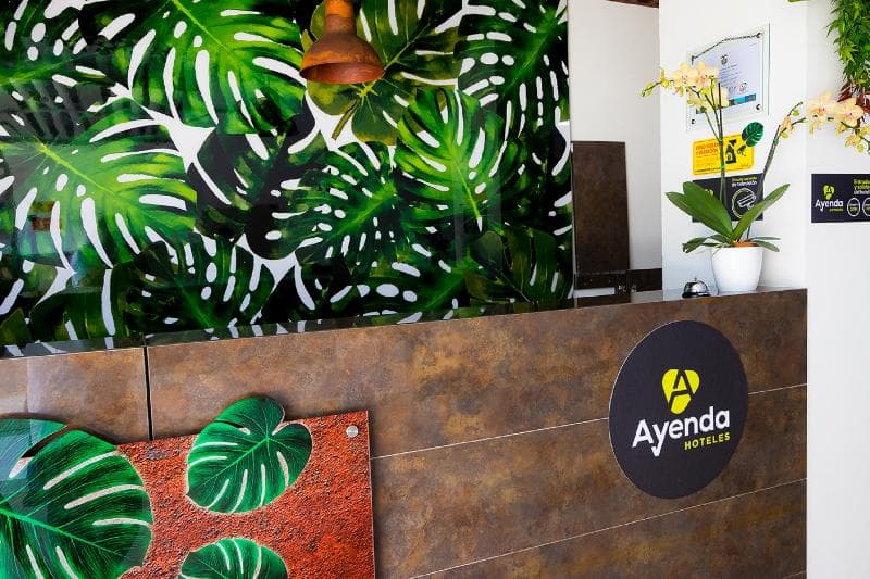 Ayenda 1420 Eco Suite 3