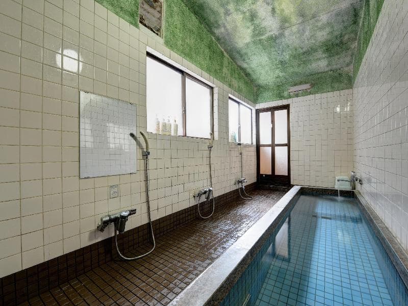 Ryokan Sakamotoya photo 1