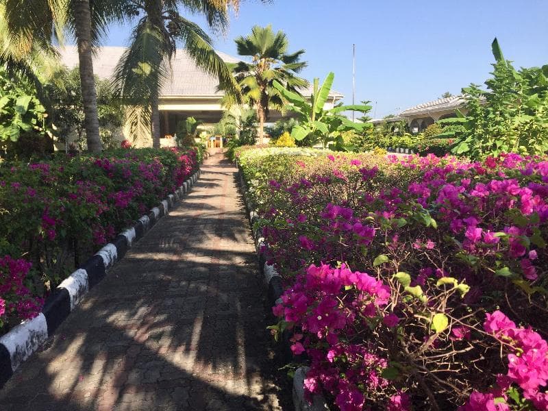 Oceanic Bay Hotel And Resort 5