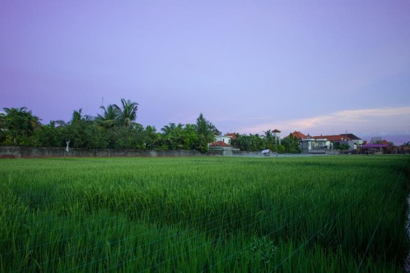 The Awandari Villas Seminyak photo 1