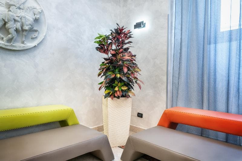 Hotel Varese 5