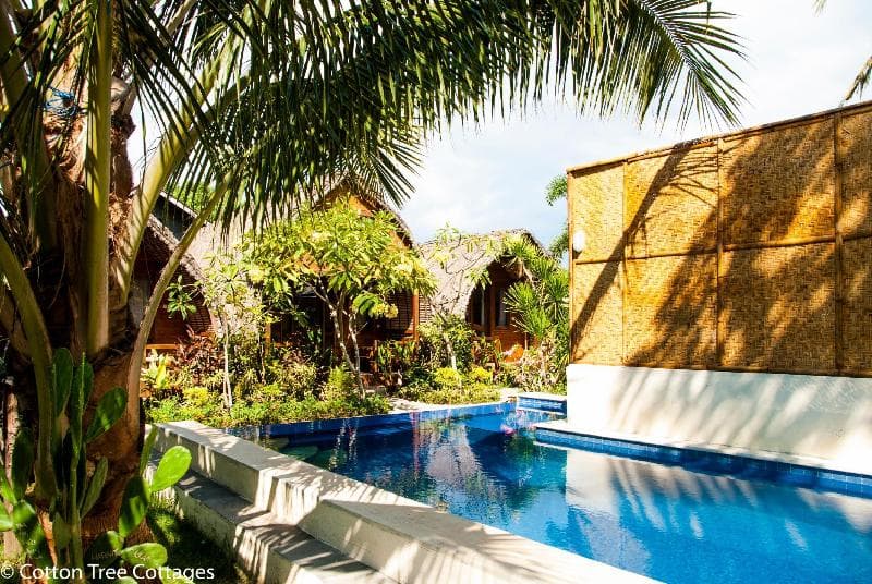 Cotton Tree Cottages photo 1