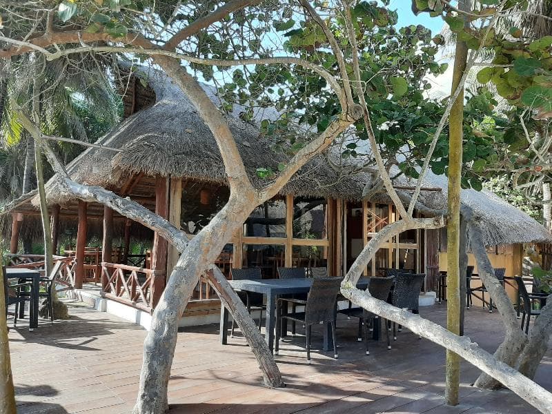 Bt Live Tulum Located At The Party Zone 4