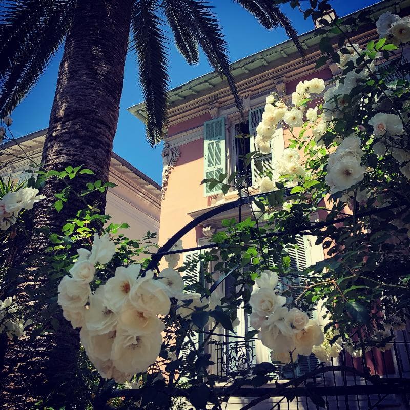 Hotel Villa Rose 1