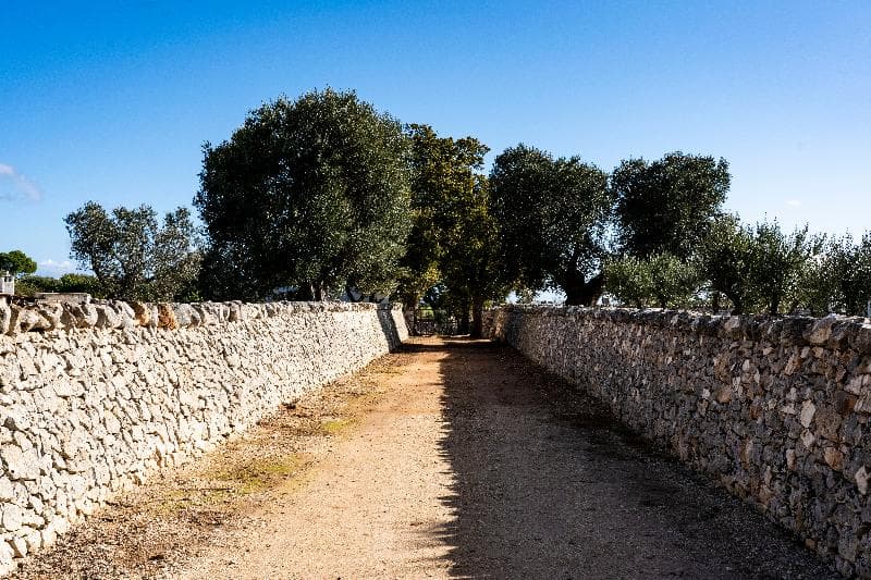 Masseria Ayroldi 3