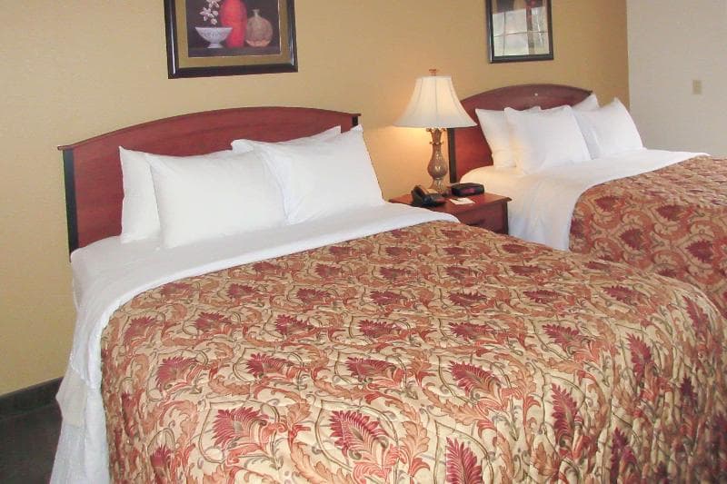 Quality Inn & Suites photo 1