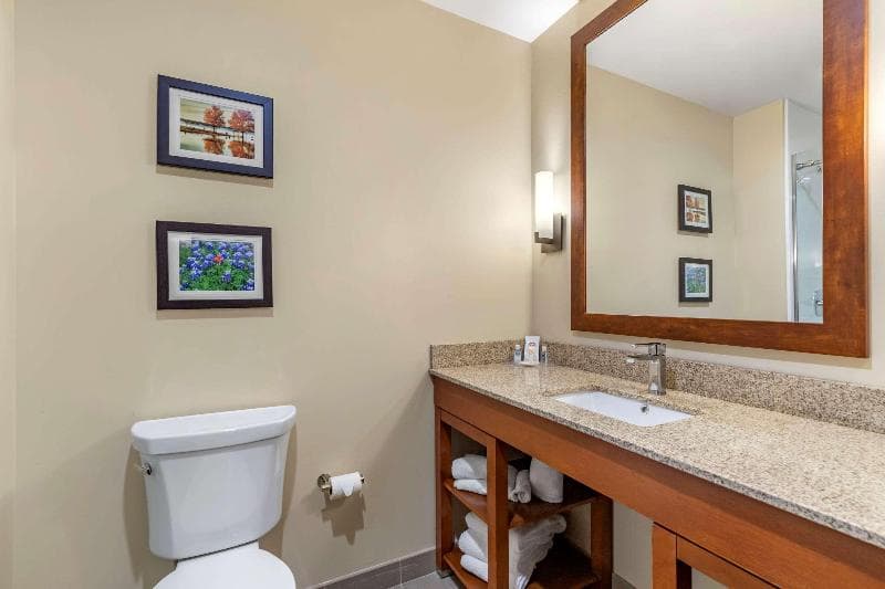 Comfort Suites main
