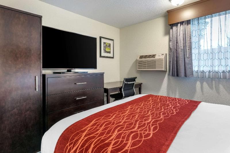Comfort Inn & Suites photo 1
