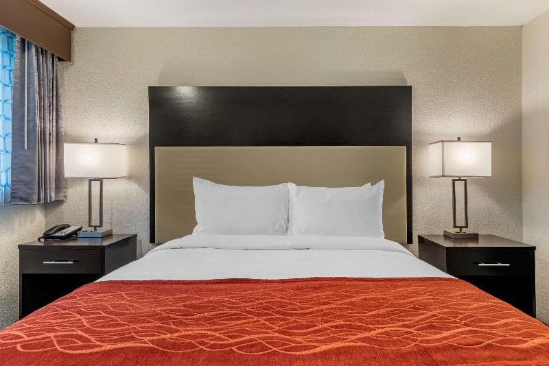Comfort Inn & Suites 3