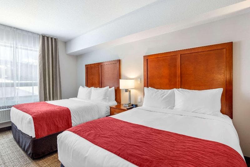 Comfort Inn & Suites 4