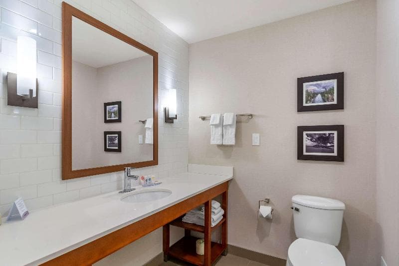 Comfort Inn & Suites 5