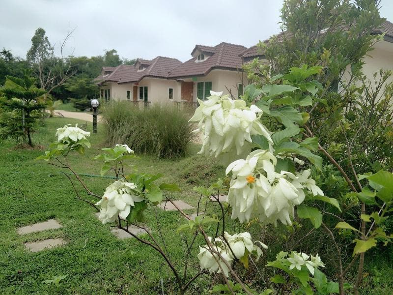 Suwi Coco Boutique Resort (Adults Only) 3