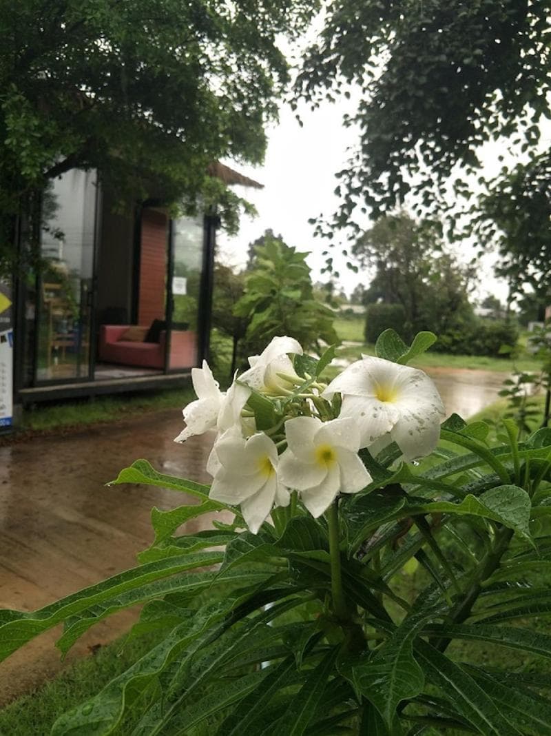 Suwi Coco Boutique Resort (Adults Only) photo 1