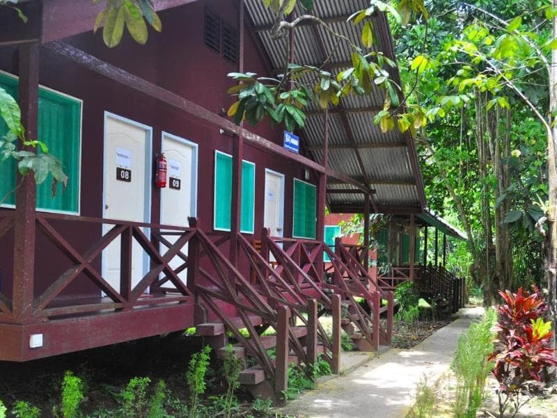 Sukau Greenview Bed And Breakfast 3