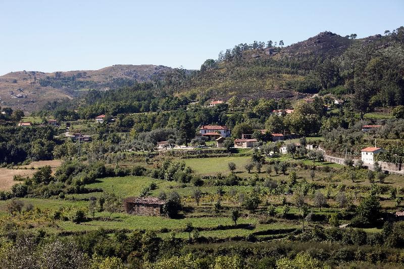 Quinta Do Rapozinho 3