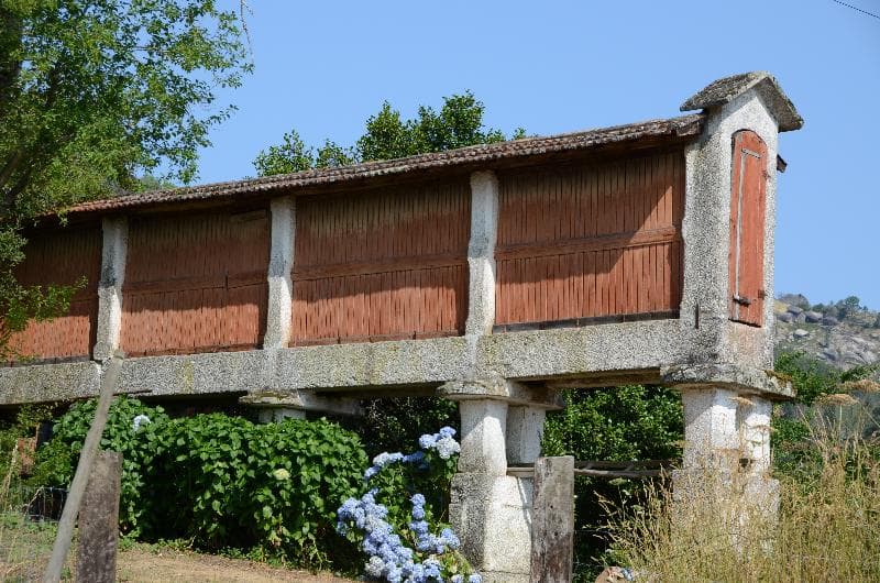 Quinta Do Rapozinho 4