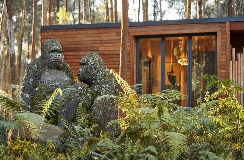 One&Only Gorilla’S Nest 5