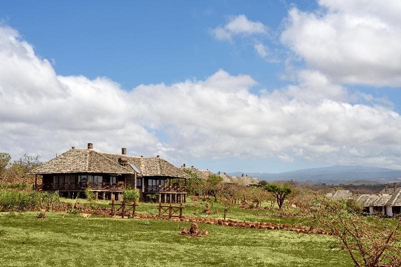 Lake Manyara Kilimamoja Lodge 2